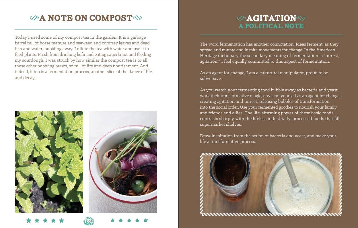 Basic Fermentation: A DIY Guide to Cultural Manipulation