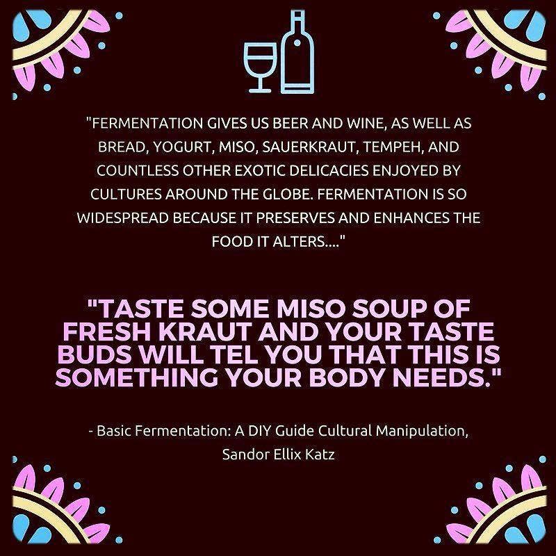 Basic Fermentation: A DIY Guide to Cultural Manipulation