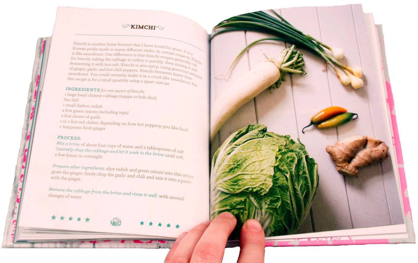 Basic Fermentation: A DIY Guide to Cultural Manipulation