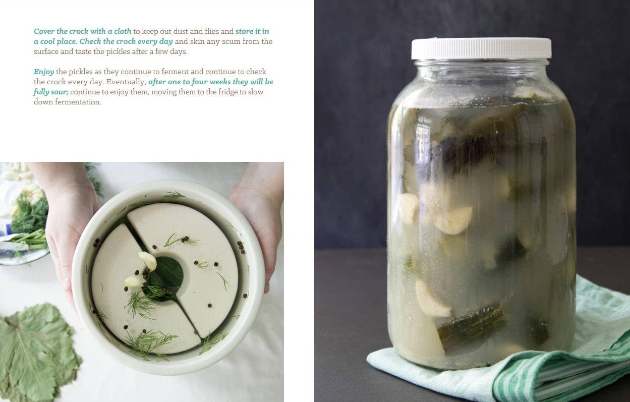 Basic Fermentation: A DIY Guide to Cultural Manipulation