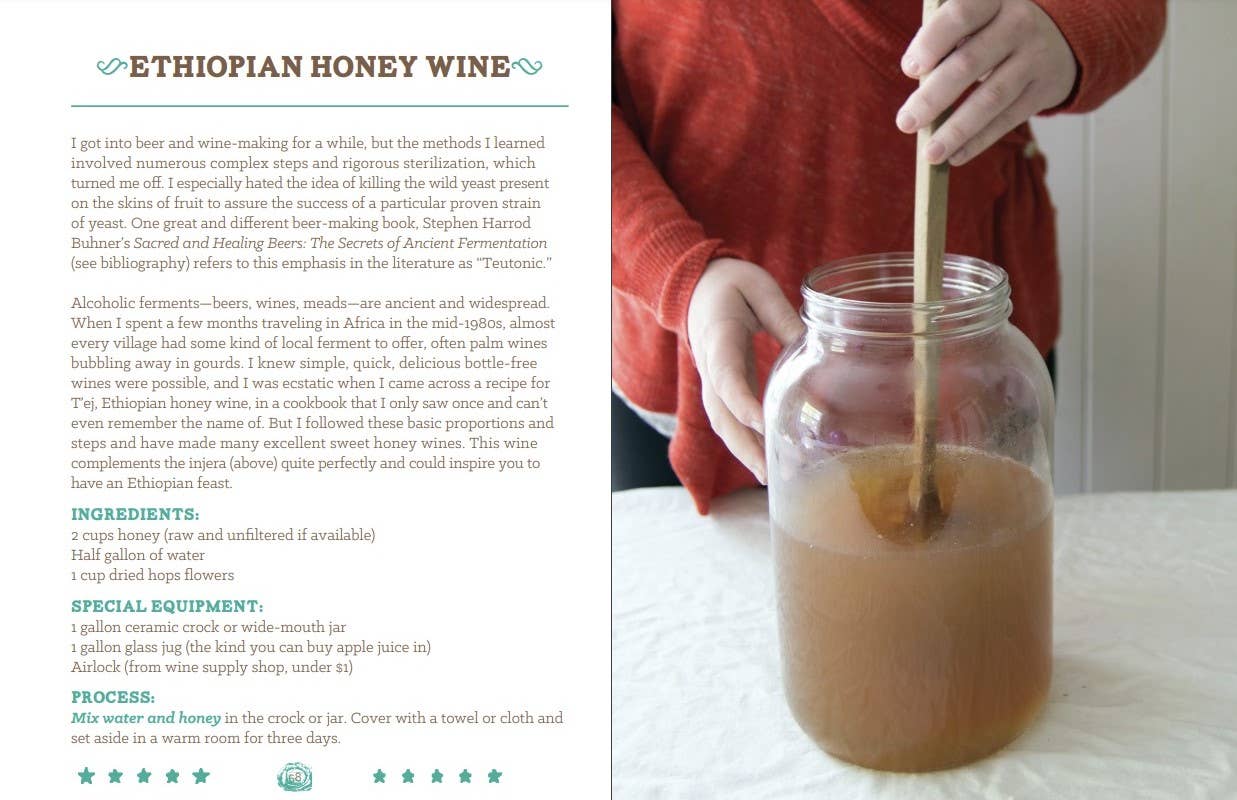 Basic Fermentation: A DIY Guide to Cultural Manipulation