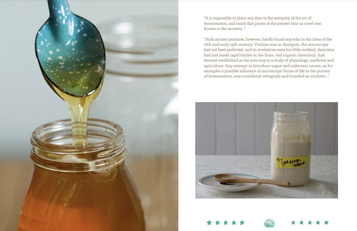 Basic Fermentation: A DIY Guide to Cultural Manipulation