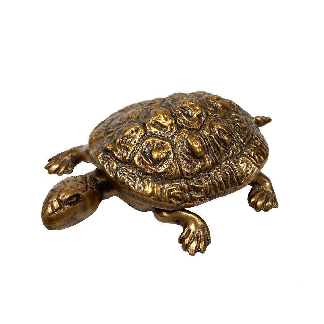 Antiqued Brass Turtle Box w/ Removable Lid- 4-1/4"