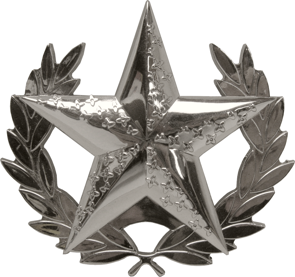 Belt Buckle - Silver Nautical Star & Olive Branches